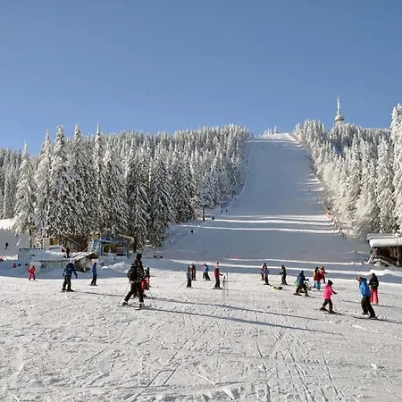 студио, стената