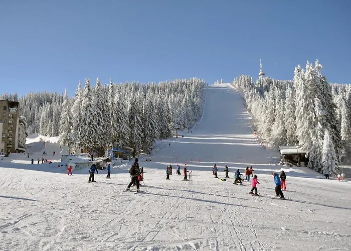 студио, стената