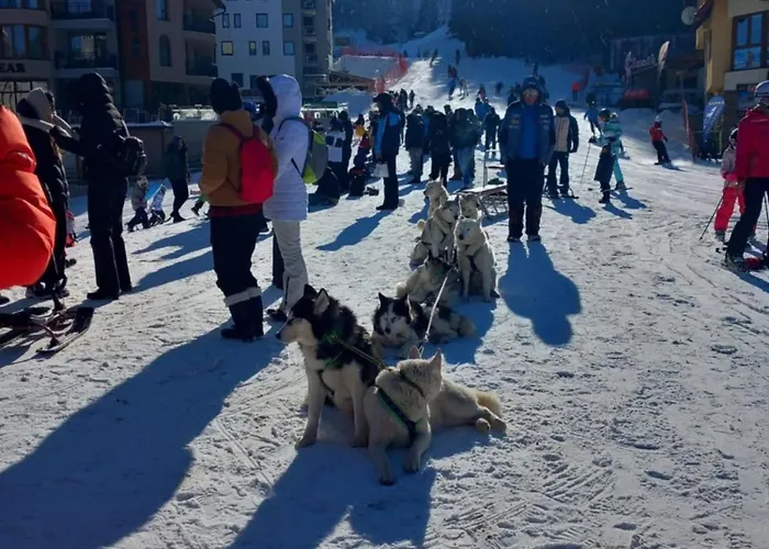 Apartment студио, стената Pamporovo