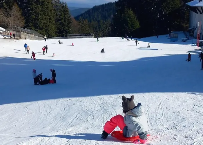 студио, стената *